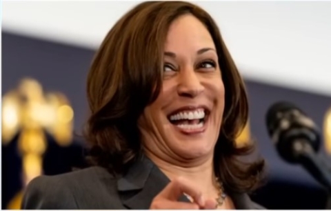 Secret Service Agent Snaps After Being Assigned to Kamala Harris